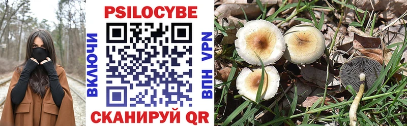 Галлюциногенные грибы прущие грибы  Купить где  Ершов 